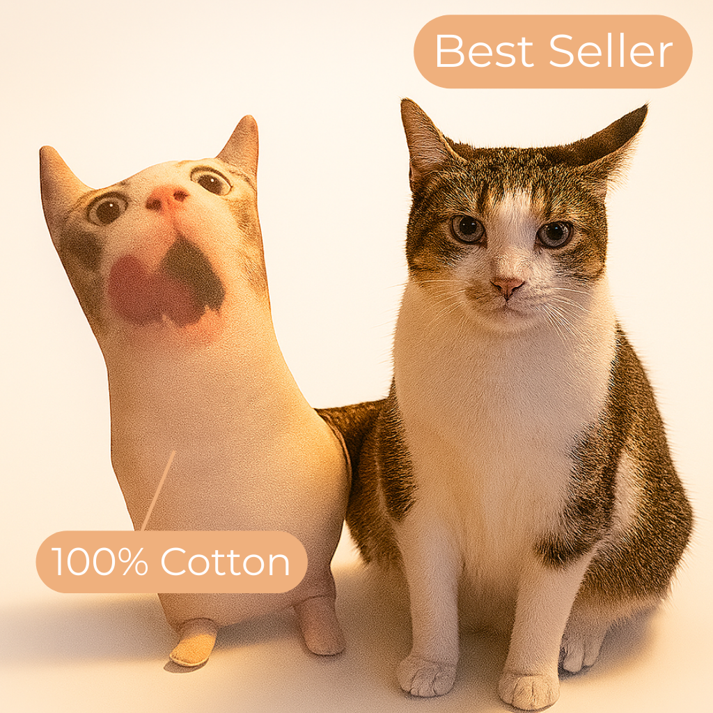 Custom Pet Pillow