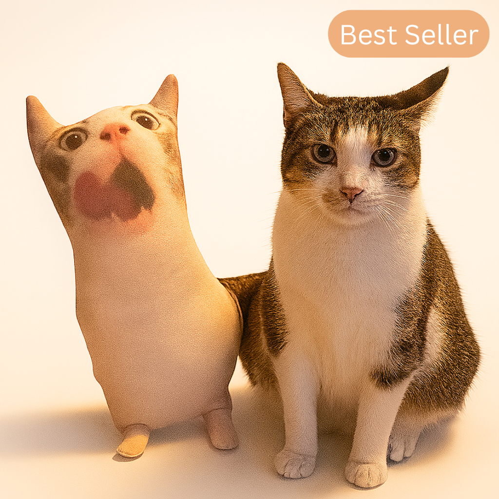 Custom Pet Pillow