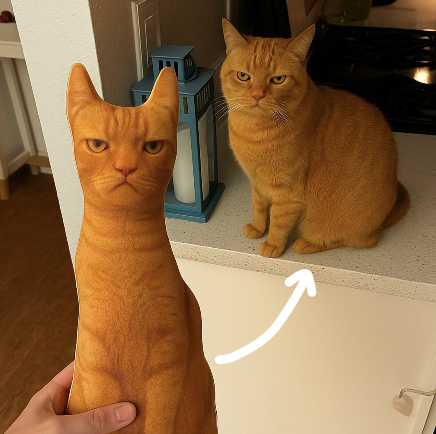 Custom Pet Pillow