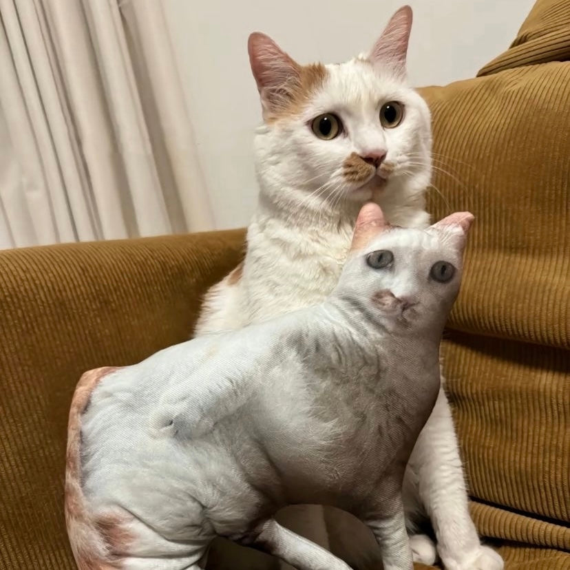 Custom Pet Pillow