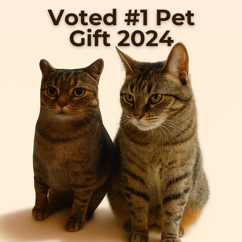 Custom Pet Pillow