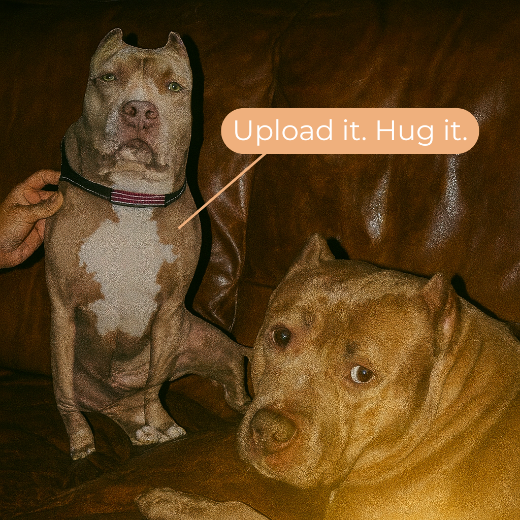 Custom Pet Pillow