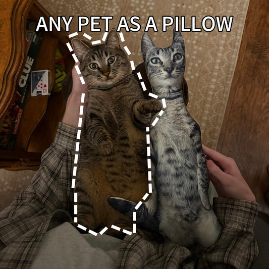 Custom Pet Pillow