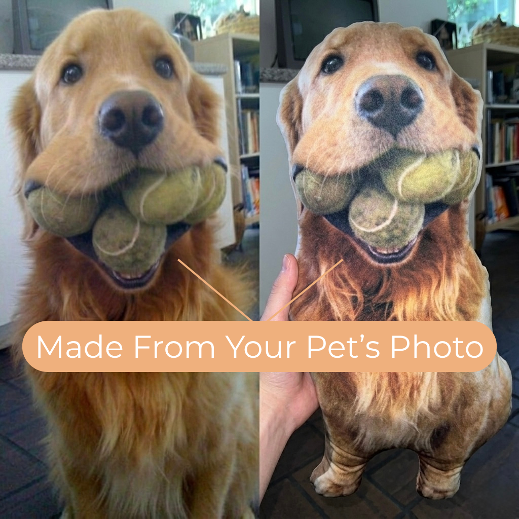 Custom Pet Pillow