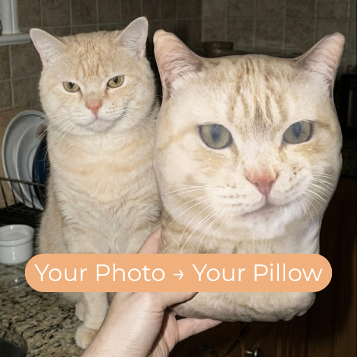 Custom Pet Pillow