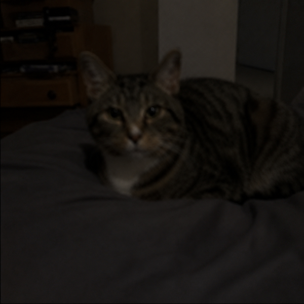 Blurry or dark photo