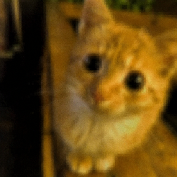 Low quality or pixelated