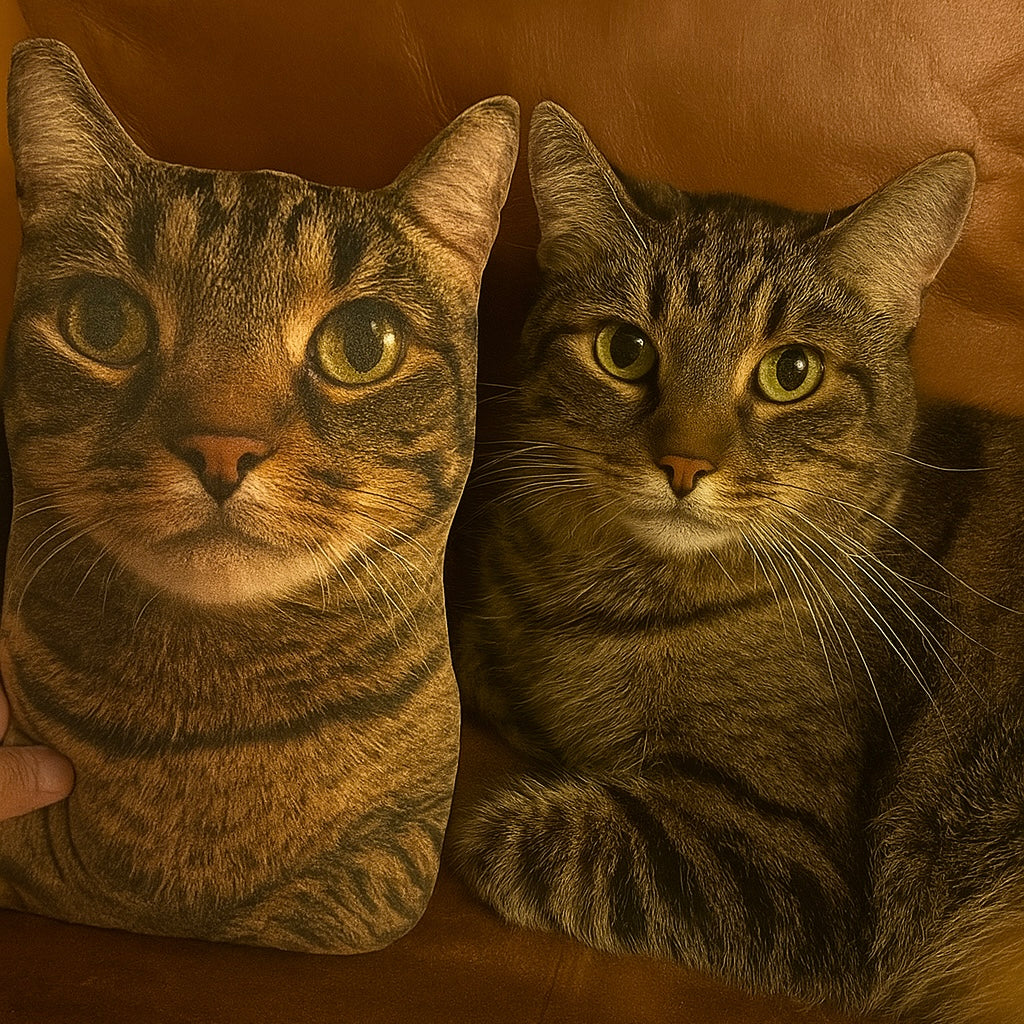 Custom Pet Pillow