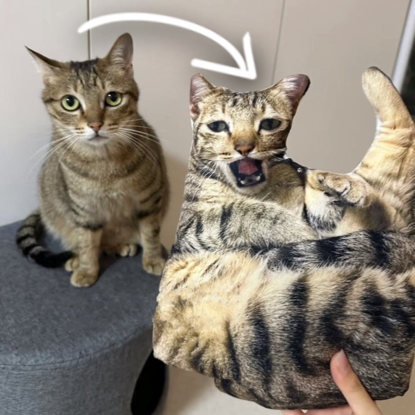 Custom Pet Pillow