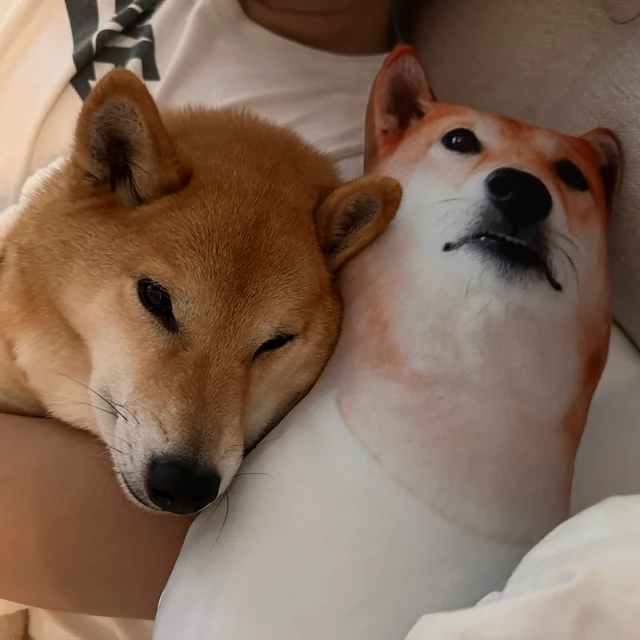 Custom Pet Pillow